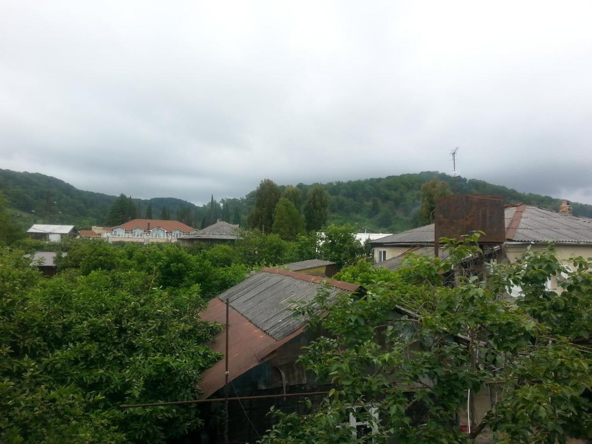 Guest House Yuzhnaya Palmira ปิซุนดา ภายนอก รูปภาพ